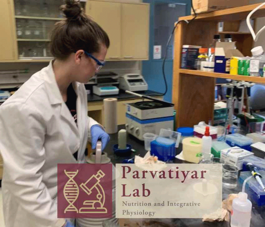 Parvatiyar lab activities